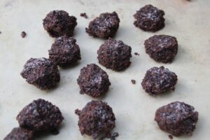 5 Delicious and Nutritious Pemmican Recipes for Your Next Adventure