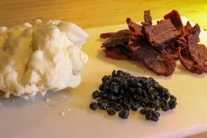 The Ultimate Pemmican Recipe: How to Make This Traditional Native American Snack at Home