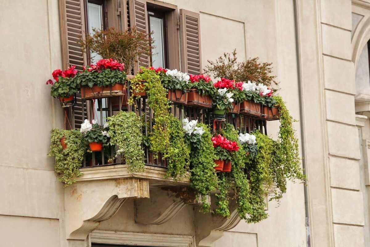 balcony-vertical-garden