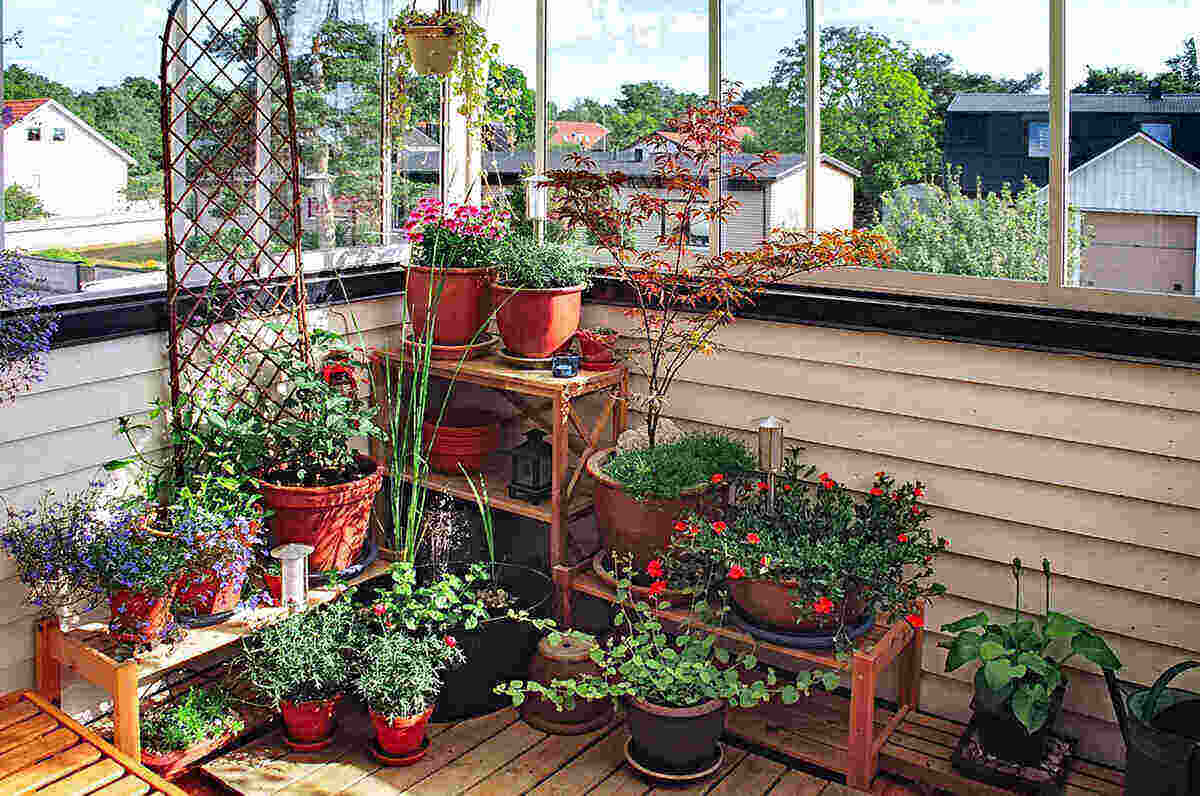 herb Balcony garden