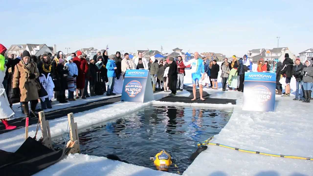 polar bear plunge