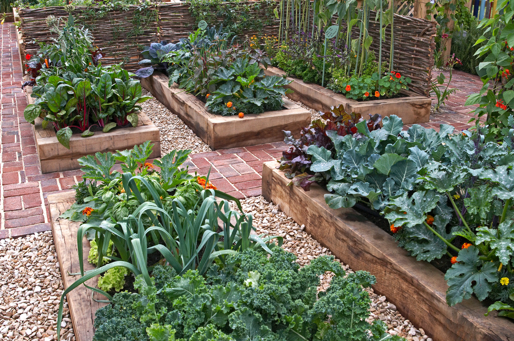 12 Raised garden bed design ideas