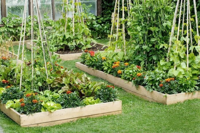 12 Raised garden bed design ideas