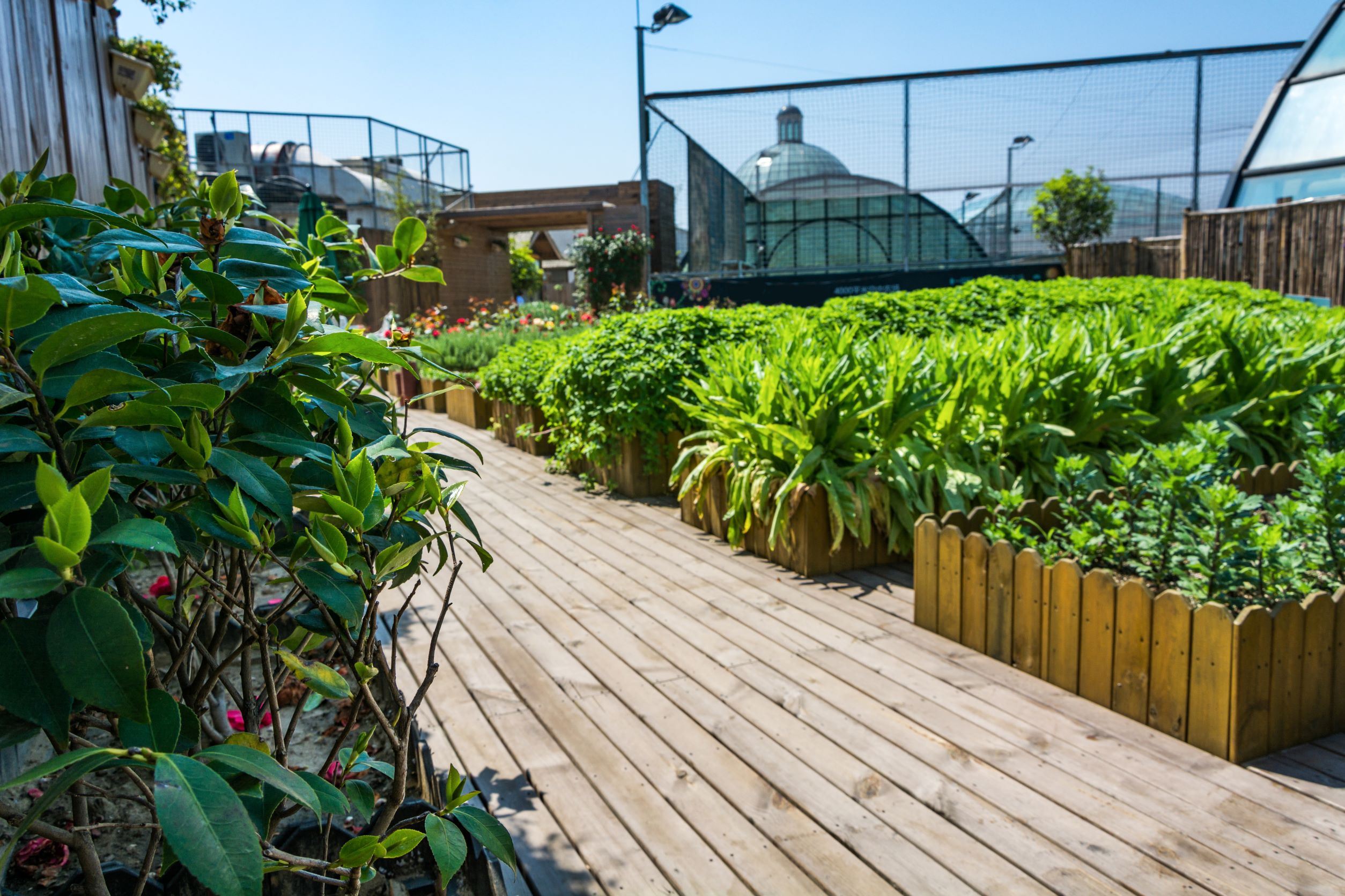 12 Raised garden bed design ideas